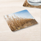 Gedeeltelijk geoogste Corn-veld Kartonnen Onderzetters (Schuin)