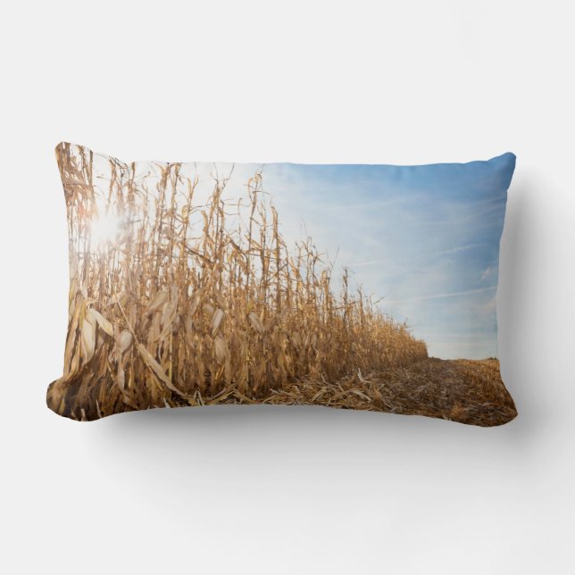 Gedeeltelijk geoogste Corn-veld Kussen (Voorkant)