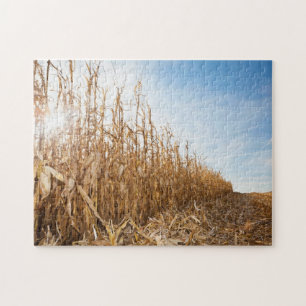Gedeeltelijk geoogste Corn-veld Legpuzzel