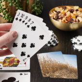 Gedeeltelijk geoogste Corn-veld Pokerkaarten (Insitu)