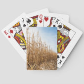 Gedeeltelijk geoogste Corn-veld Pokerkaarten (Achterkant)