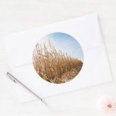 Gedeeltelijk geoogste Corn-veld Ronde Sticker (Envelop)