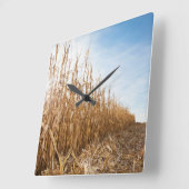 Gedeeltelijk geoogste Corn-veld Vierkante Klok (Hoek)