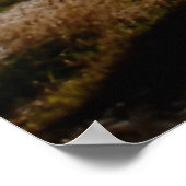 Gedeeltelijk Open Shirt op Beach Backdrop Poster (Hoek)