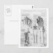 Gedeeltelijk ribben en bekken skeletdiagram briefkaart (Voorkant / Achterkant)