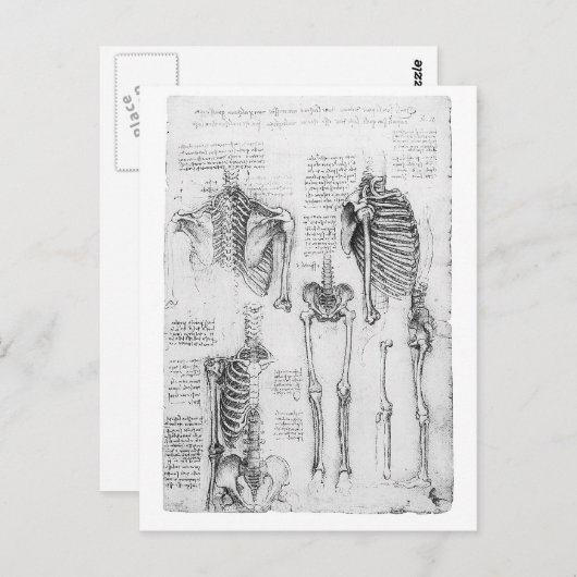 Gedeeltelijk ribben en bekken skeletdiagram briefkaart (Voorkant / Achterkant)
