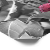 Gedeeltelijke kleur rode duoghoutvruchten poster (Hoek)