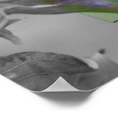 Gedeeltelijke kleur rode libel poster (Hoek)