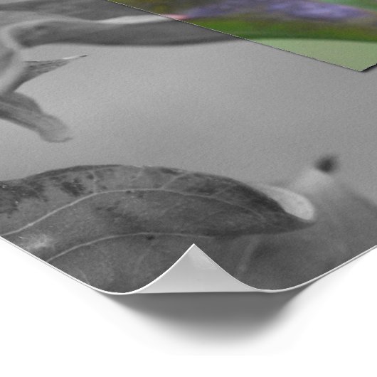 Gedeeltelijke kleur rode libel poster (Hoek)