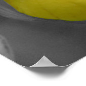 Gedeeltelijke kleur van de Gele Dame Slipper Orchi Poster (Hoek)