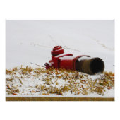 "Gedehydrateerd" Foto Afdruk (Voorkant)