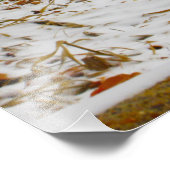 "Gedehydrateerd" Foto Afdruk (Hoek)