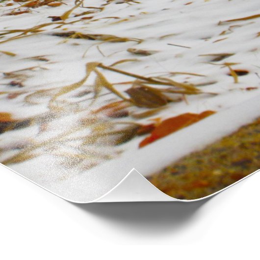 "Gedehydrateerd" Foto Afdruk (Hoek)