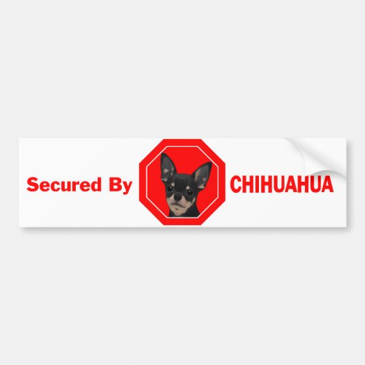 Gedekt door Chihuahua Bumpersticker (Voorkant)