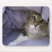 Gedekt Kat Mousepad Muismat (Voorkant)