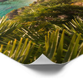 Gedekt strand in Lo Zingaro, Sicilië Poster (Hoek)