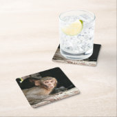 Gedekte aap met grote ogen onderzetter (Insitu)