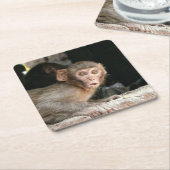 Gedekte aap met grote ogen onderzetter (Schuin)
