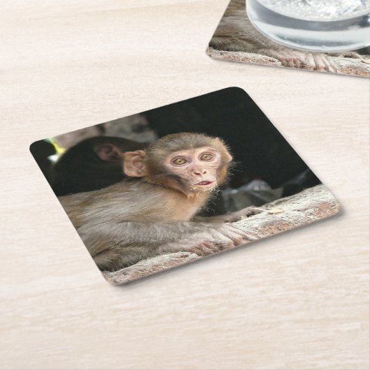 Gedekte aap met grote ogen onderzetter (Schuin)