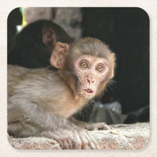 Gedekte aap met grote ogen onderzetter