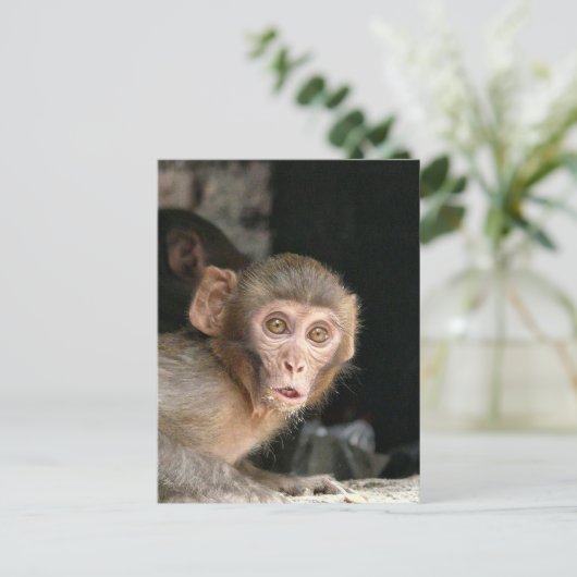 Gedekte aap met grote ogen verticale kaart (Staand voorkant)