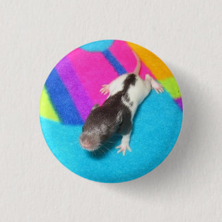 Gedekte Baby Rat Ronde Button 3,2 Cm