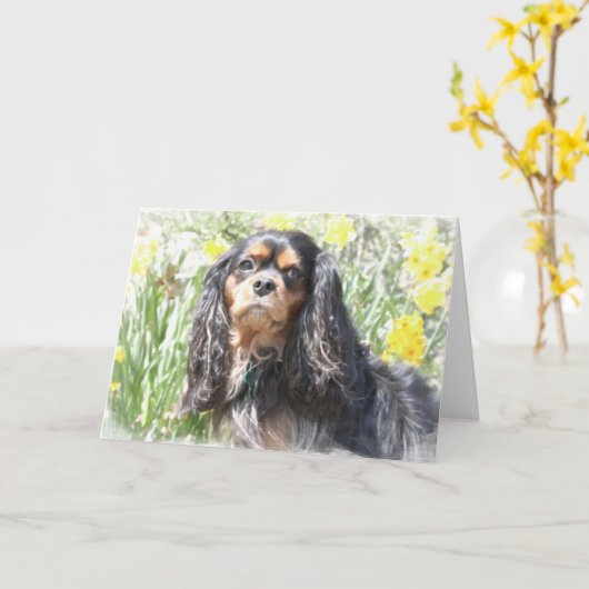 Gedekte Cavalier King Charles Spaniel Greeting Car Kaart (Gele Bloem)