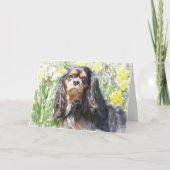 Gedekte Cavalier King Charles Spaniel Greeting Car Kaart (Voorkant)