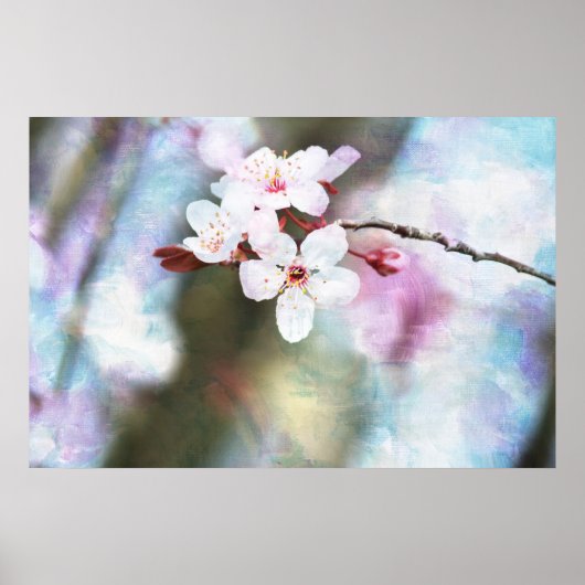 Gedekte Cherry Blossom Poster (Voorkant)