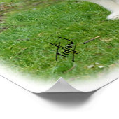 Gedekte collie 8R002D-16 Poster (Hoek)