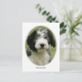 Gedekte collie 9Y049D-018 Briefkaart (Staand voorkant)