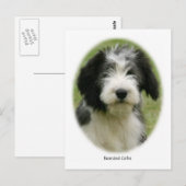 Gedekte collie 9Y049D-018 Briefkaart (Voorkant / Achterkant)