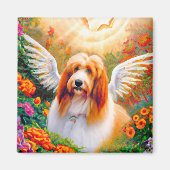Gedekte Collie Angel Wings Pet Memorial Magneet (Voorkant)