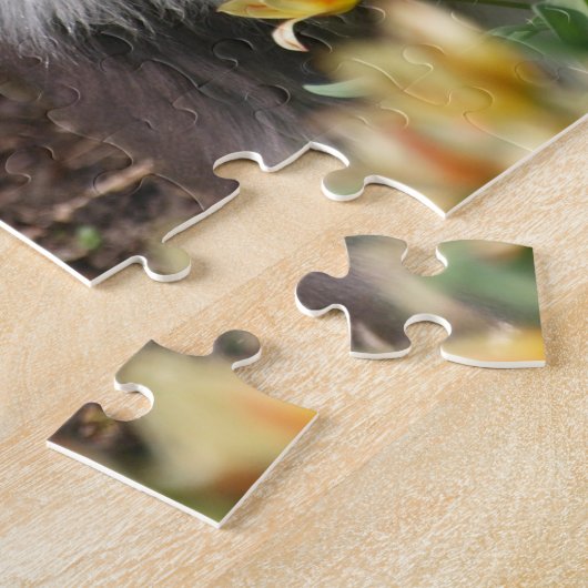 Gedekte collie in de lente legpuzzel (Zijkant)