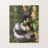 Gedekte collie in de lente legpuzzel (Verticaal)