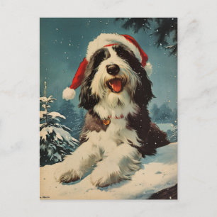 Gedekte Collie Kerstmis Briefkaart