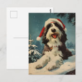 Gedekte Collie Kerstmis Briefkaart (Voorkant / Achterkant)