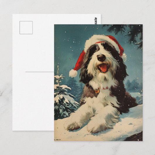 Gedekte Collie Kerstmis Briefkaart (Voorkant / Achterkant)