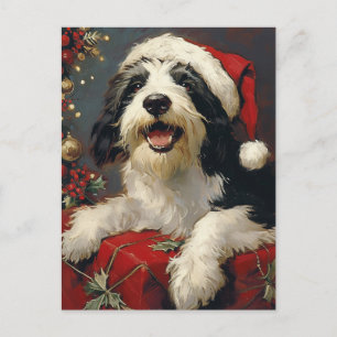 Gedekte Collie Kerstmis Briefkaart