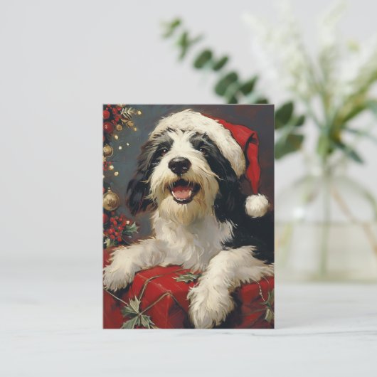 Gedekte Collie Kerstmis Briefkaart (Staand voorkant)