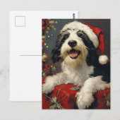 Gedekte Collie Kerstmis Briefkaart (Voorkant / Achterkant)