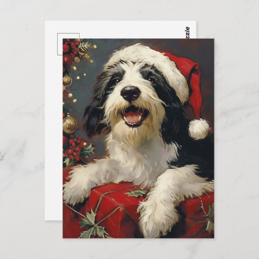 Gedekte Collie Kerstmis Briefkaart (Voorkant / Achterkant)