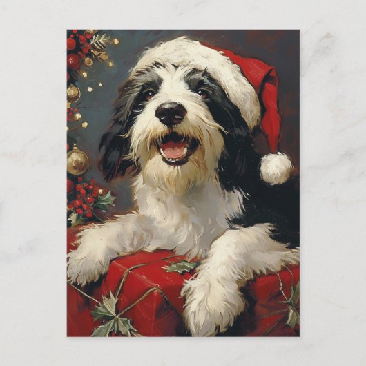 Gedekte Collie Kerstmis Briefkaart (Voorkant)