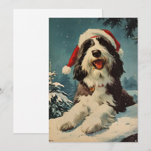 Gedekte Collie Kerstmis Feestdagenkaart (Voorkant / Achterkant)