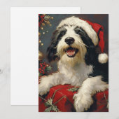 Gedekte Collie Kerstmis Feestdagenkaart (Voorkant / Achterkant)