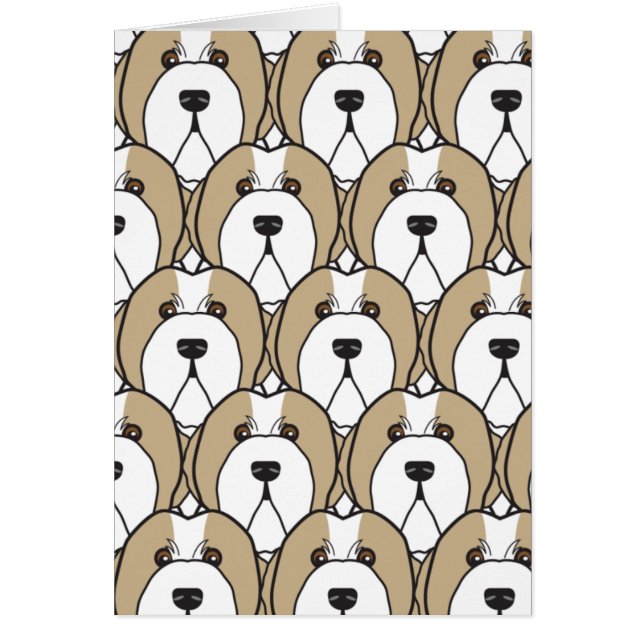 Gedekte collies (Voorkant)