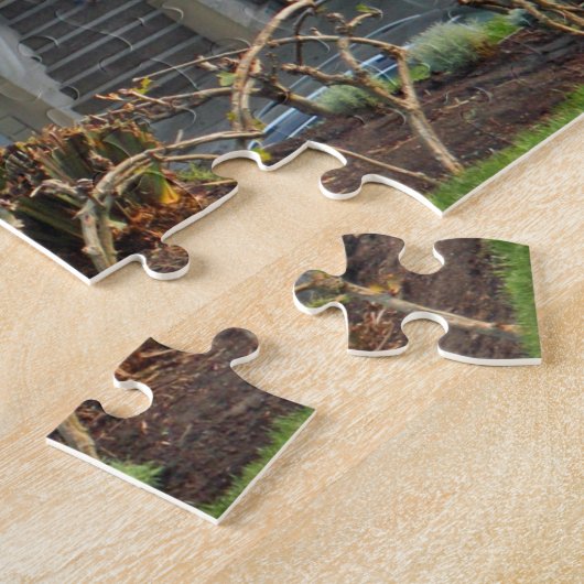 Gedekte dames, San Francisco, Californië Legpuzzel (Zijkant)