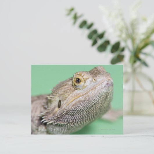 Gedekte draak 2 briefkaart (Staand voorkant)