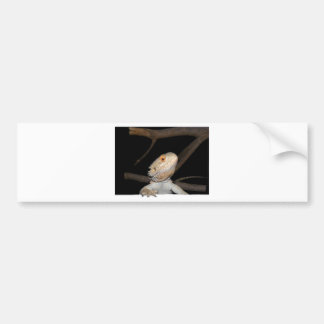 Gedekte draak 2 bumpersticker