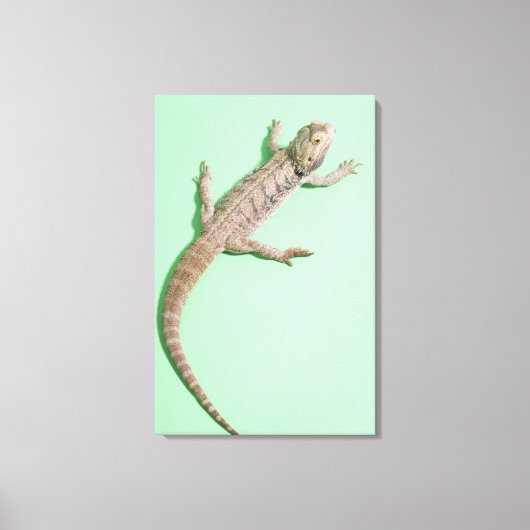 Gedekte draak 2 canvas afdruk (Voorkant)